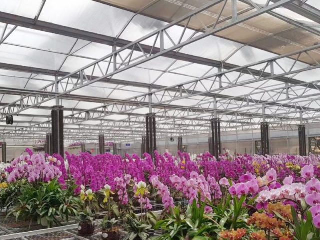 Greenhouses manufactured by SinoPlastix